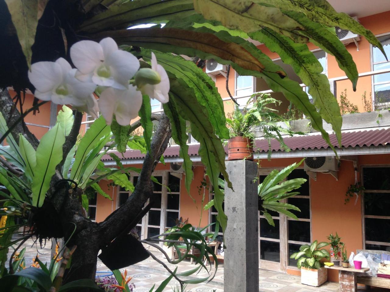 Canggu Pinpoint Rooms Exterior photo
